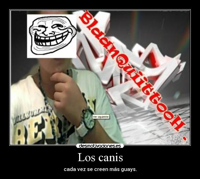 Los canis - cada vez se creen más guays.