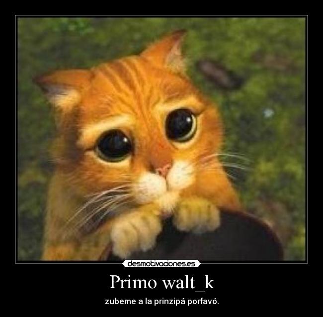 Primo walt_k -