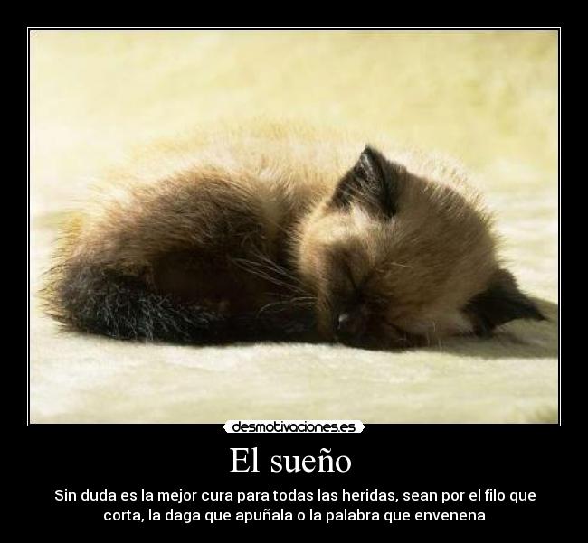 El sueño  - 