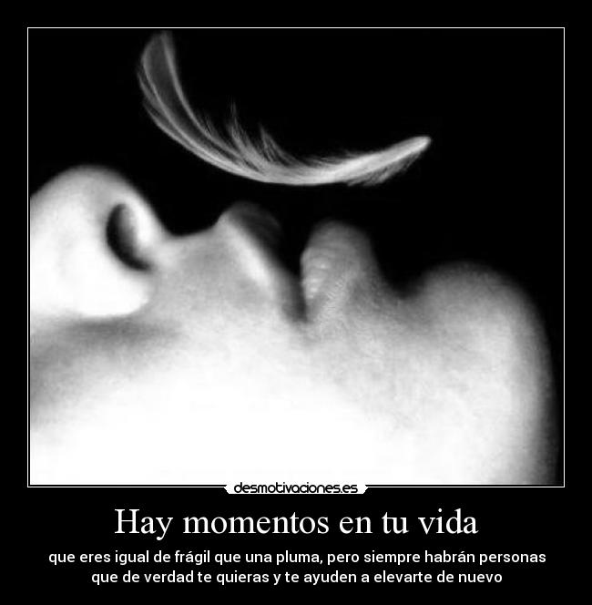 carteles vida pluma desmotivaciones