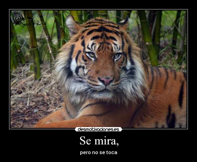 carteles arrggg desmotivaciones