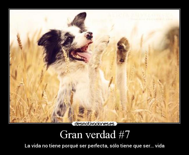 Gran verdad #7 -
