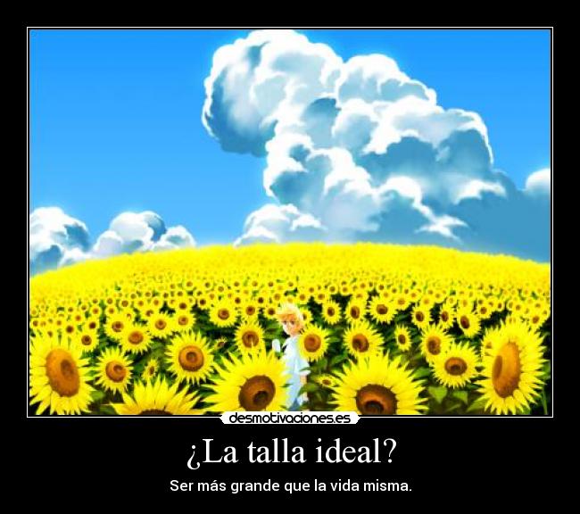 ¿La talla ideal? -