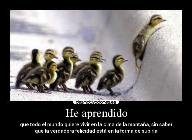 He aprendido -