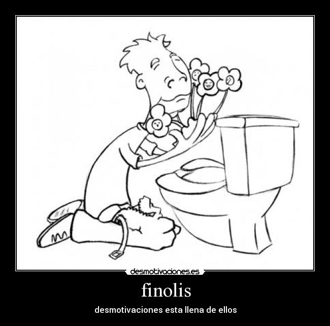 finolis -