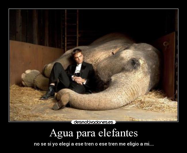 Agua para elefantes - 