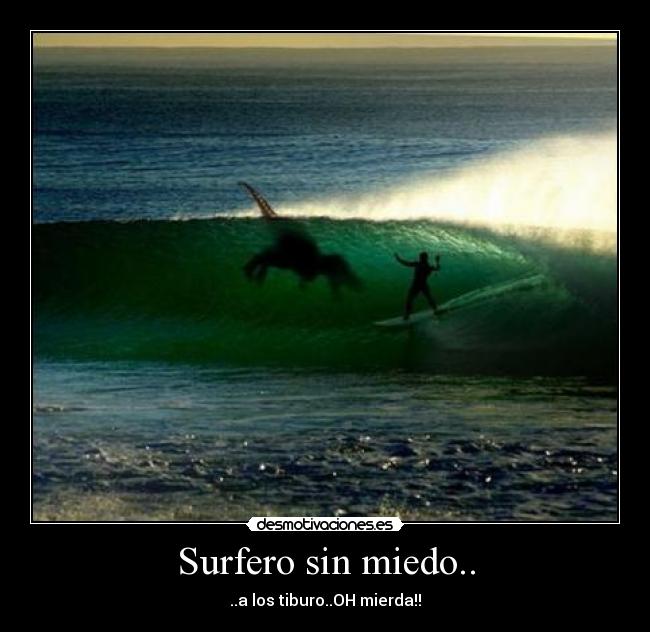 Surfero sin miedo.. - ..a los tiburo..OH mierda!!