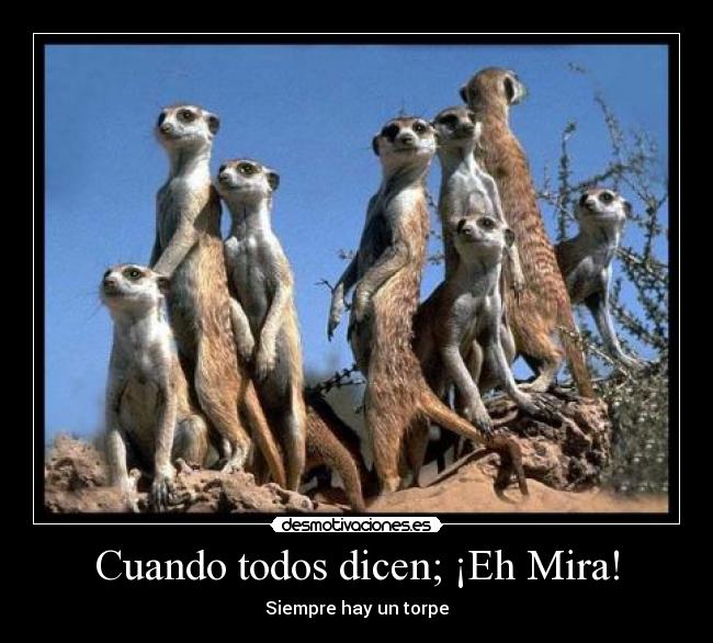 Cuando todos dicen; ¡Eh Mira! - Siempre hay un torpe