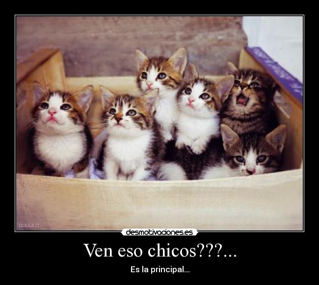 Ven eso chicos???... -