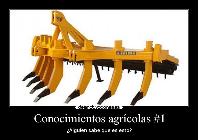 Conocimientos agrícolas #1 - ¿Alguien sabe que es esto?