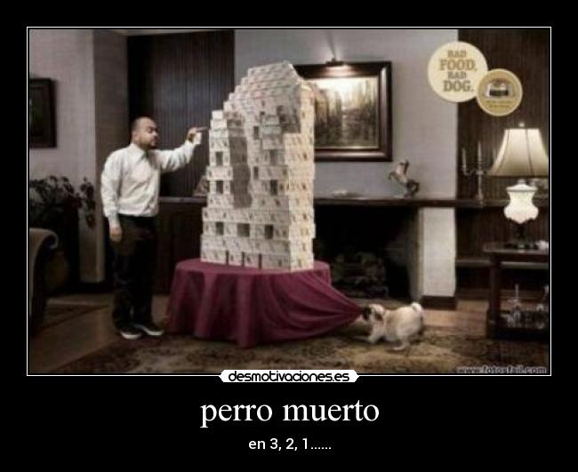 perro muerto -