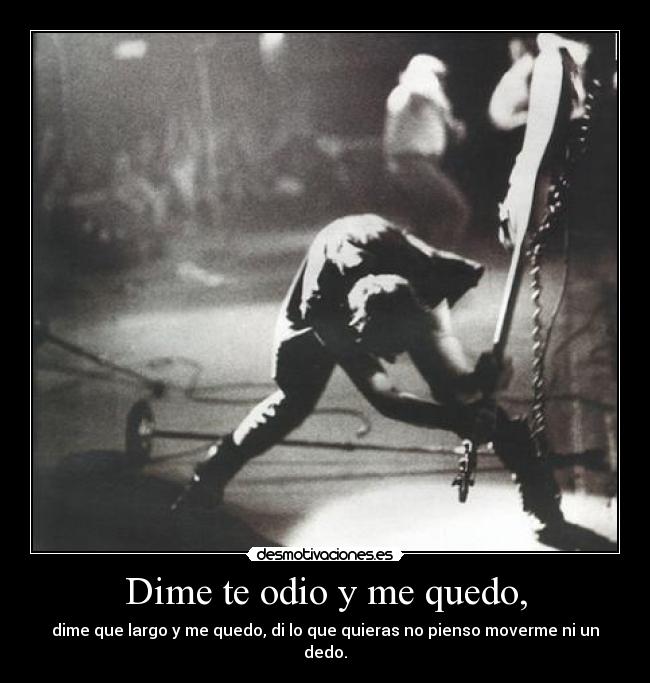 carteles odio amigos desmotivaciones