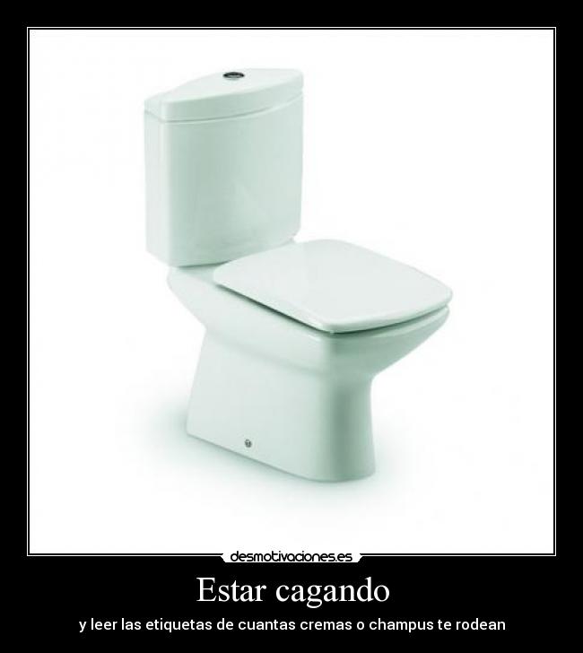 Estar cagando - y leer las etiquetas de cuantas cremas o champus te rodean