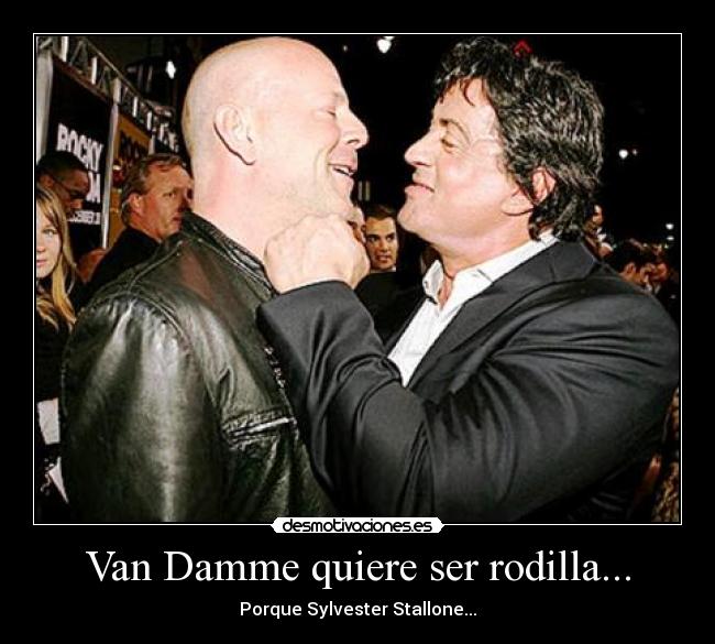 Van Damme quiere ser rodilla... - Porque Sylvester Stallone...