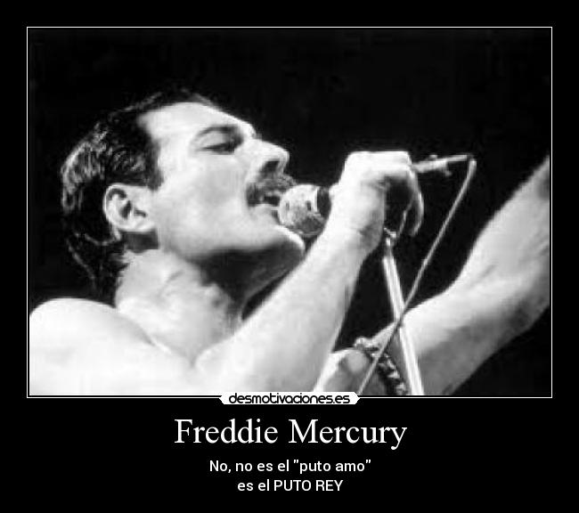 Freddie Mercury -