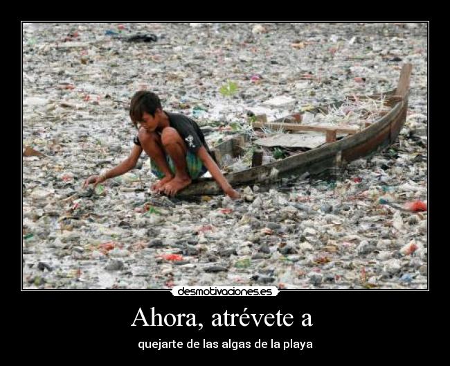 Ahora, atrévete a  - quejarte de las algas de la playa