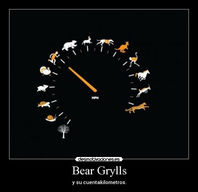 Bear Grylls - 