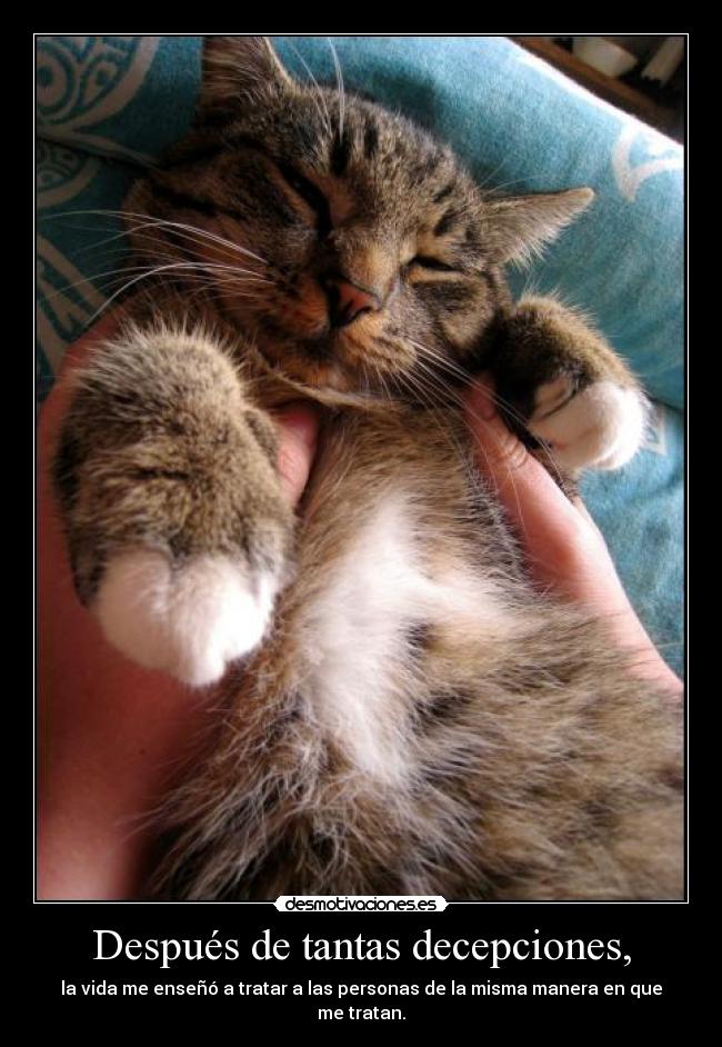 Después de tantas decepciones, - la vida me enseñó a tratar a las personas de la misma manera en que me tratan.