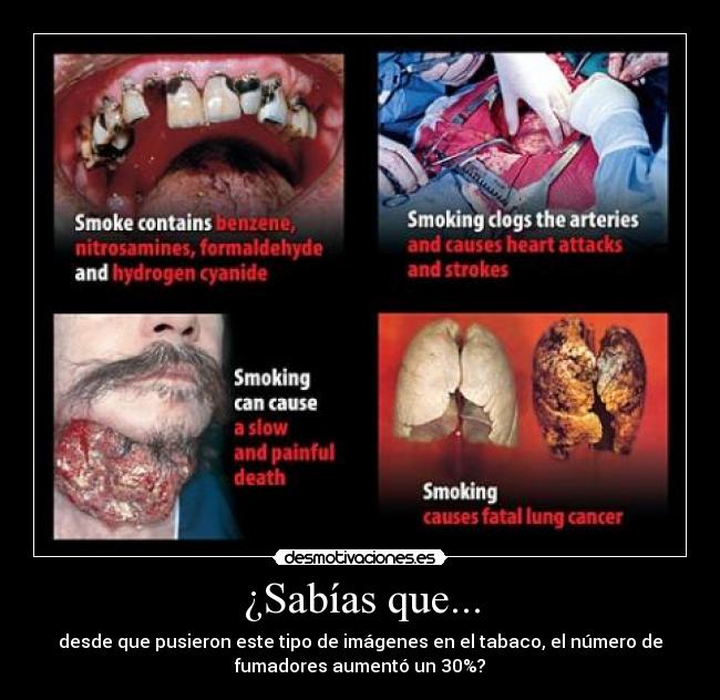 carteles sabias que desmotivaciones