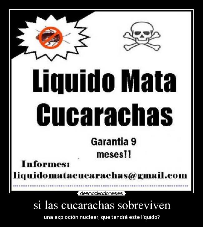 carteles cucarachas desmotivaciones