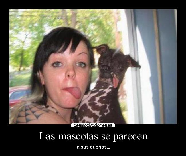 Las mascotas se parecen - a sus dueños...