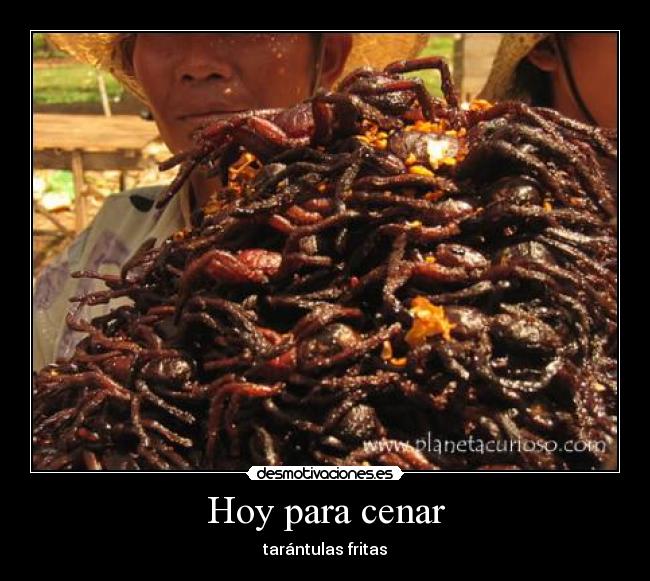 Hoy para cenar - tarántulas fritas