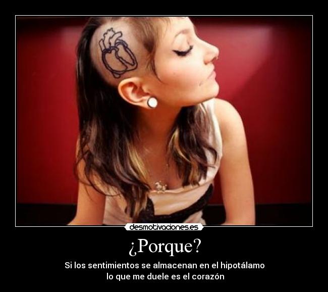 ¿Porque? - Si los sentimientos se almacenan en el hipotálamo
 lo que me duele es el corazón