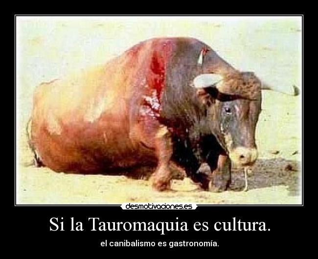 Si la Tauromaquia es cultura. - 