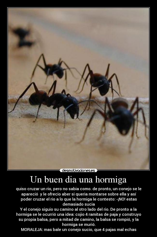 Un buen dia una hormiga - quiso cruzar un rio, pero no sabia como. de pronto, un conejo se le
apareció y le ofrecio aber si queria montarse sobre ella y así
poder cruzar el rio a lo que la hormiga le contesto: -¡NO! estas
demasiado sucia
Y el conejo siguio su camino al otro lado del rio. De pronto a la
hormiga se le ocurrió una idea: cojio 4 ramitas de paja y construyo
su propia balsa, pero a mitad de camino, la balsa se rompió, y la
hormiga se murió.
MORALEJA: mas bale un conejo sucio, que 4 pajas mal echas