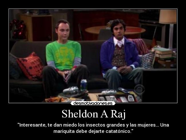 Sheldon A Raj -