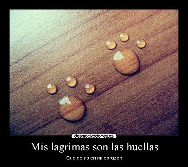 Mis lagrimas son las huellas -