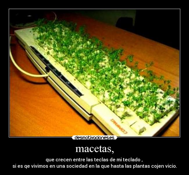 macetas, -