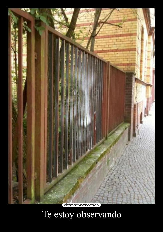 Te estoy observando - 