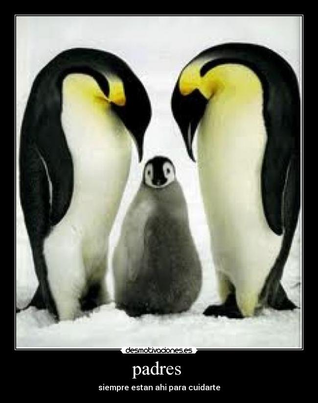 padres - siempre estan ahi para cuidarte