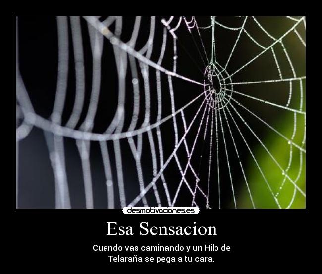 Esa Sensacion -