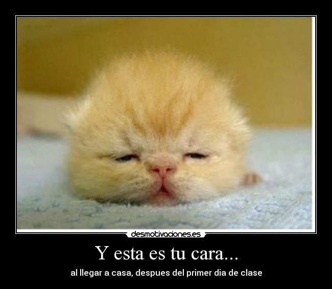 Y esta es tu cara... - 