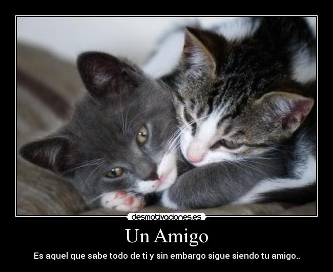 carteles kasha88 desmotivaciones