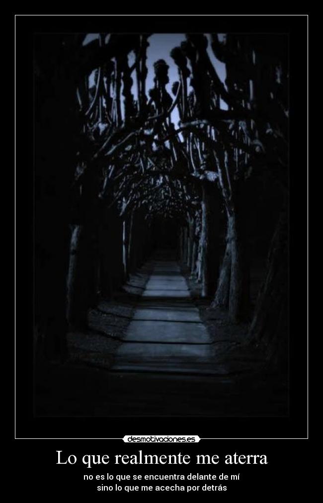 Lo que realmente me aterra - no es lo que se encuentra delante de mí
sino lo que me acecha por detrás