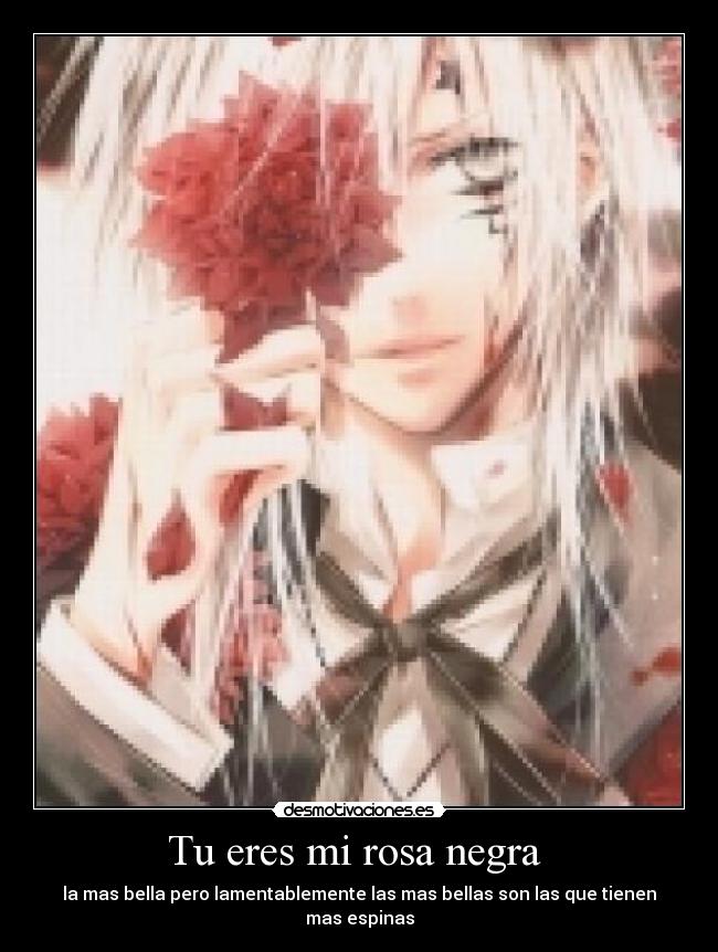 Tu eres mi rosa negra - la mas bella pero lamentablemente las mas bellas son las que tienen mas espinas