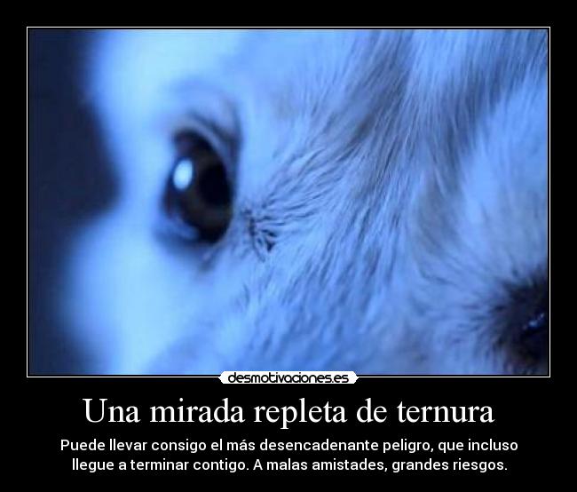 Una mirada repleta de ternura - Puede llevar consigo el más desencadenante peligro, que incluso
llegue a terminar contigo. A malas amistades, grandes riesgos.