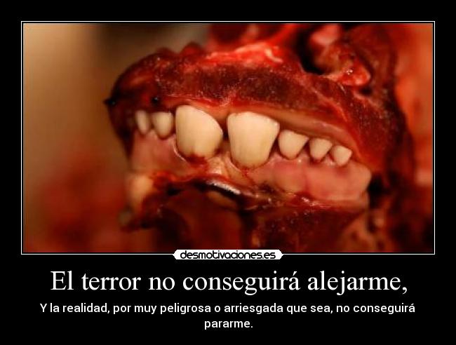 El terror no conseguirá alejarme, - 