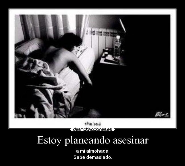 Estoy planeando asesinar - a mi almohada.
Sabe demasiado.