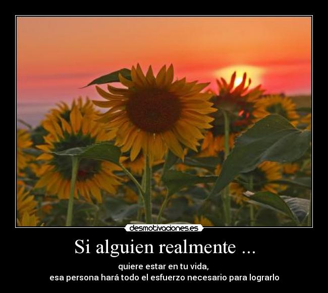 Si alguien realmente ... - quiere estar en tu vida,
esa persona hará todo el esfuerzo necesario para lograrlo