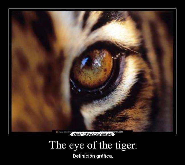 The eye of the tiger. - Definición gráfica.