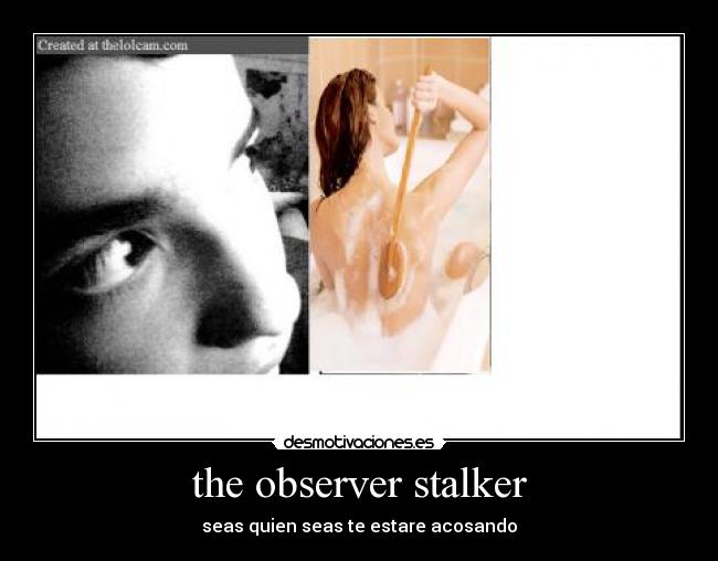the observer stalker - 