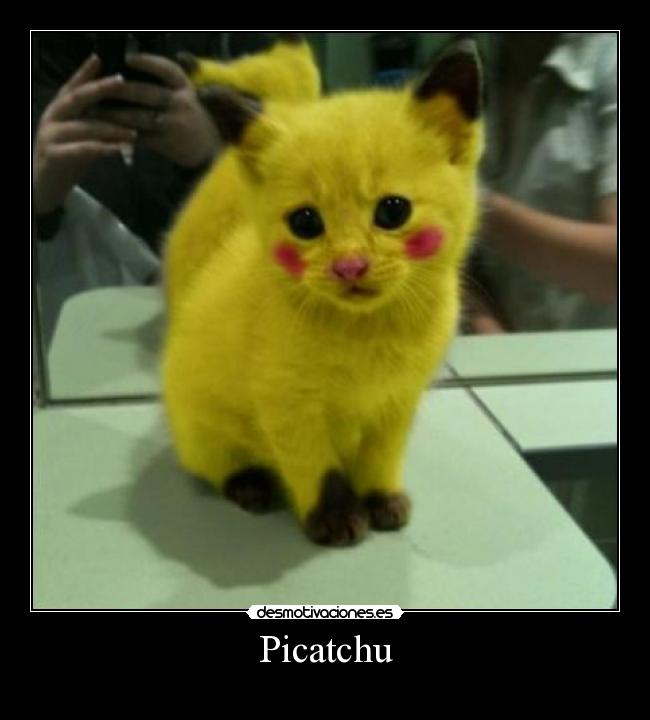 carteles picatchu desmotivaciones