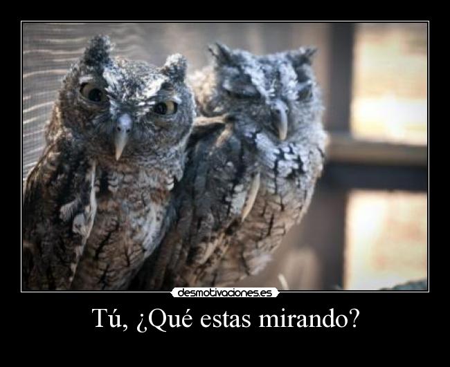 Tú, ¿Qué estas mirando? -