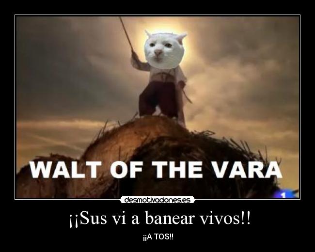 ¡¡Sus vi a banear vivos!! -
