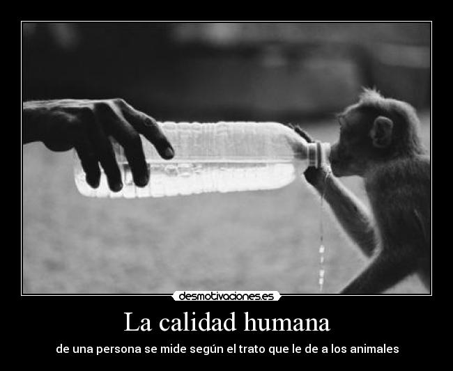 La calidad humana - de una persona se mide según el trato que le de a los animales