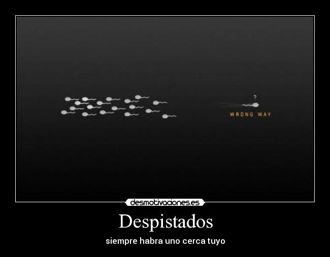 Despistados - siempre habra uno cerca tuyo